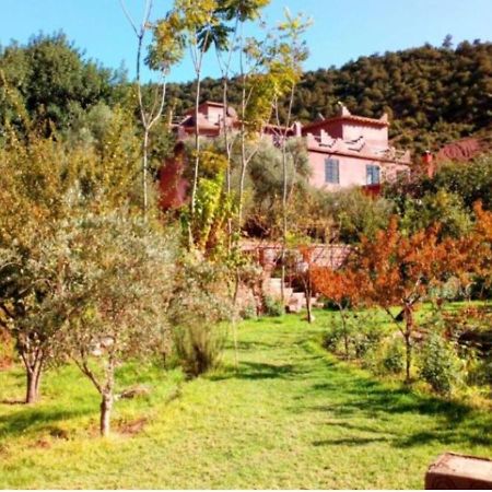 Ourika Timalizene Le Jardin Des Delices Hotel Tamezindert Buitenkant foto