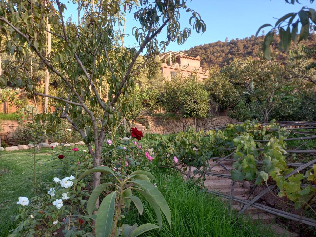 Ourika Timalizene Le Jardin Des Delices Hotel Tamezindert Buitenkant foto